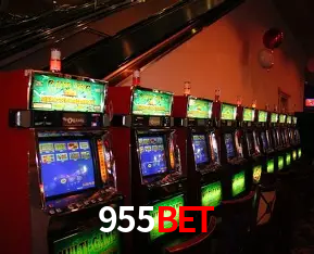 Security Systems 955Bet
